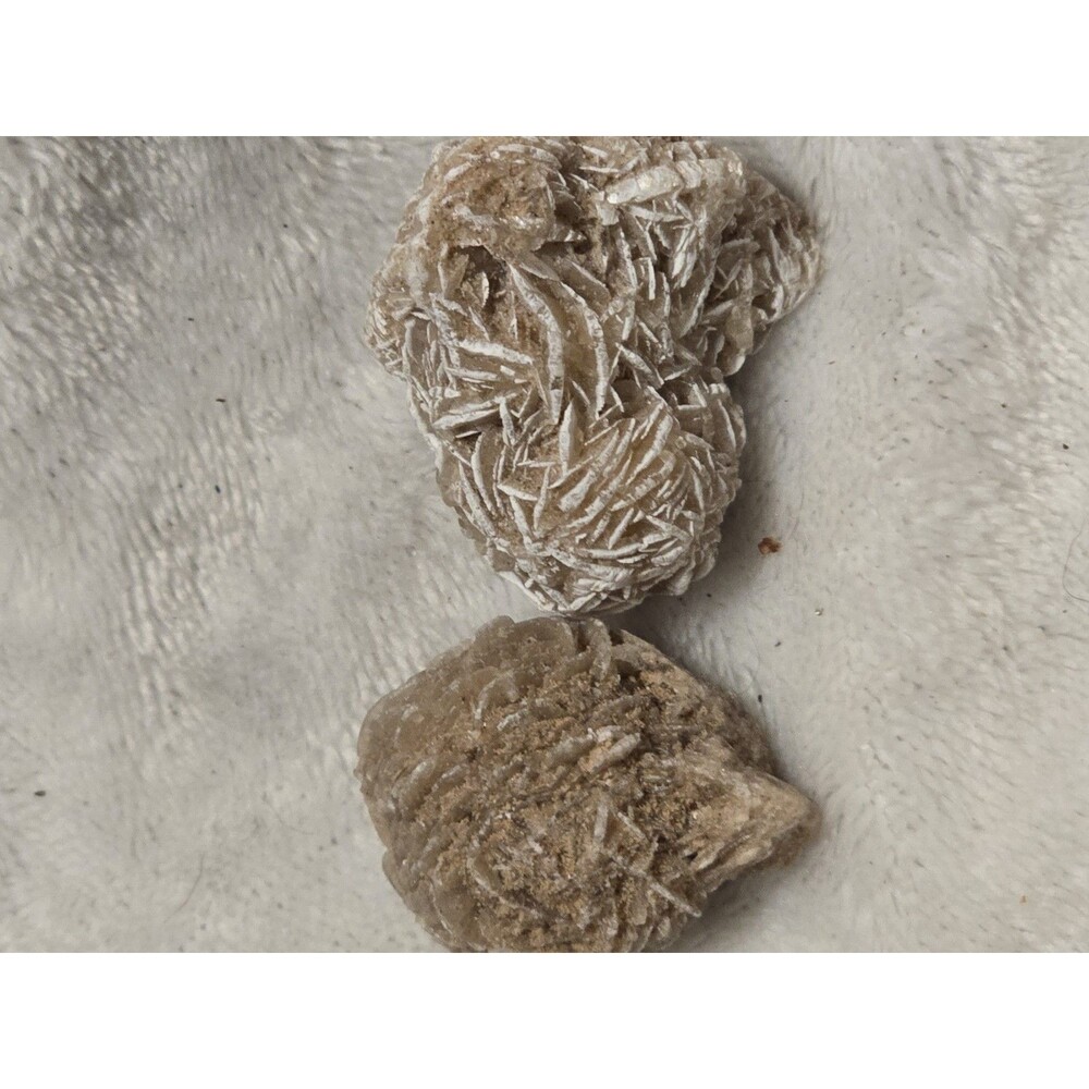 2 Chunks of Desert Rose Raw: Total weight 1.6oz